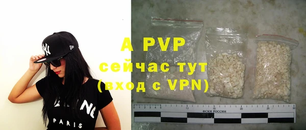 шишки Баксан