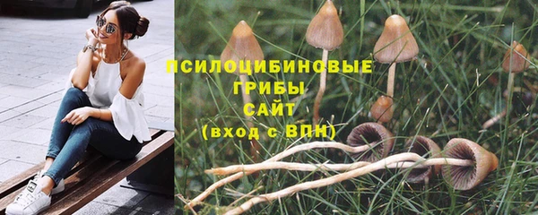 шишки Баксан