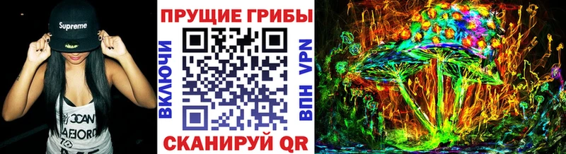 купить наркотики сайты  Соль-Илецк  Галлюциногенные грибы Psilocybe 